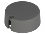 Knob | with pointer | plastic | &Oslash;shaft: 4mm | &Oslash;40x16mm | grey