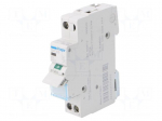 Switch-disconnector | Poles: 1 | for DIN rail mounting | 25A | 230VAC