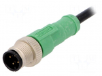 Cable: for sensors/automation | M12 | PIN: 4 | straight | 1.5m | plug