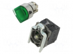 Switch: rotary | 22mm | Stabl.pos: 2 | NC + NO | green | LED | 24V | IP66