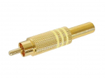 RCA PLUG MALE - GOLD - YELLOW