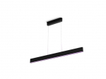 Desc lamp Philips Hue  Ensis pendant black 79W 24V | 79 W | White and Colour Ambiance 2000-6500K