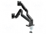 Holder | 10kg | 17&divide;32" | black | 75x75mm,100x100mm | monitor x2