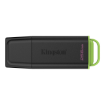 Kingston DataTraveler Exodia 256 GB (black/green, USB-A 3.2 Gen 1)