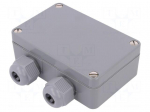 Enclosure: junction box | X: 64mm | Y: 98mm | Z: 34mm | polyamide | IP65