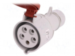 Connector: AC supply 3-phase | plug | female | 32A | 400VAC | IEC 60309