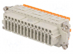 Connector: HDC | female | CDSH | PIN: 42 | 42+PE | size 104.27 | 10A | 400V