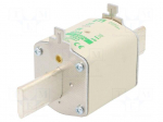 Fuse: fuse | aM | 400A | 690VAC | ceramic,industrial | NH2 | WT-NH
