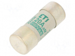Fuse: fuse | aM | 20A | 690VAC | cylindrical,industrial | 22x58mm