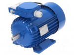 Motor: AC | 1-phase | 1.1kW | 230VAC | 1370rpm | 7.67Nm | IP54 | 7.2A | arms