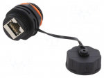 Coupler | socket | Cat: 6a | shielded | 8p8c | RJ45 socket x2 | IP68