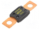 Fuse: fuse | 100A | 32VDC | 68.6mm | mega