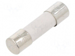 Fuse: fuse | 10A | 250VAC | quick blow | ceramic | 5x20mm | brass | bulk
