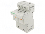 Fuse base | 22x58mm | for DIN rail mounting | 125A | Poles: 2