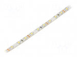 LED tape | white cold | 3528 | LED/m: 60 | 8mm | white PCB | IP20 | 4.8W/m