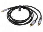 Cable | RCA plug x2,USB C plug | gold-plated | 1.5m | black | Cu | 29AWG