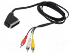 Cable | RCA plug x3,SCART plug | 2m | black