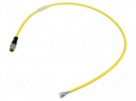 Cable: for sensors/automation | M12 | PIN: 5 | straight | 0.6m | plug