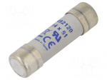 Fuse: fuse | 20A | 690VAC | gR | ceramic,cylindrical,industrial