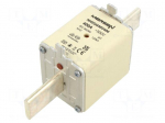 Fuse: fuse | 400A | 500VAC | 250VDC | gG | ceramic,industrial | NH2