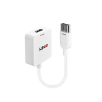 LINDY HDMI-DisplayPort konverter kuni 4K 3840x2160 HDMI
