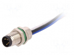 Connector: M8 | male | PIN: 4 | for panel mounting,front side nut