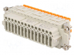 Connector: HDC | female | CDSH | PIN: 42 | 42+PE | size 104.27 | 10A | 400V