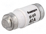 Fuse: fuse | 40A | 400VAC | 250VDC | ceramic,industrial | D02