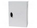 Enclosure: wall mounting | X: 300mm | Y: 400mm | Z: 200mm | S3DEX | steel