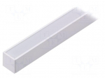 Profiles for LED modules | white | white | L: 1m | LINEA20 | aluminium