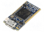 Programmer: microcontrollers | STM32 | USB | USB