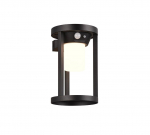 Trio-Lighting Carmo solar anthracite + dusk sensor lampa ar kustības sensoru