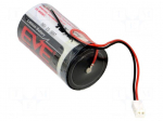 Battery: lithium | D | 3.6V | 19000mAh | non-rechargeable