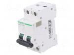 Circuit breaker | 500VDC | Inom: 50A | Poles: 2 | Charact: C | 20kA | IP20
