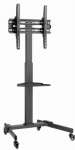 TV mount Gembird 32" - 55" TV floor stand with caster wheels