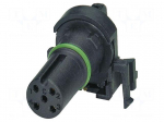 Connector: M12 | contact insert | PIN: 4 | 250V | angled | IP67 | THT | 4A
