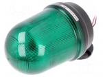 Signaller: lighting | flashing light,continuous light | green