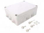 Enclosure: junction box | X: 181mm | Y: 231mm | Z: 89mm | wall mount