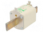 Fuse: fuse | aM | 250A | 690VAC | ceramic,industrial | NH2 | WT-NH
