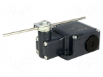 Limit switch | adjustable plunger, length R 19-116mm | NO + NC