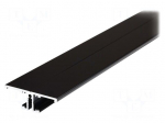 Profiles for LED modules | black | L: 2m | BACK10 | aluminium