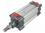 Profile cylinder | Piston diam: 25mm | Piston stroke: 100mm