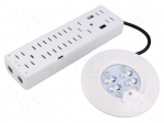 Lamp: LED emergency luminaire | RoundTech | IP65 | white | 1.1W | 200lm