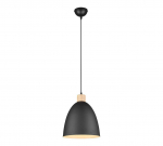 Trio Jagger piekarama lampa 25 cm E27 matt black brushed steel R30681032 4017807503197