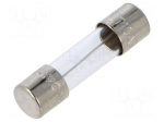 Fuse: fuse | 10A | 250VAC | time-lag | cylindrical,glass | 5x20mm | S506