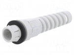 Cable gland | M32 | IP68 | polyamide | light grey | SKINTOP&reg;