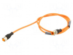 Cable: for sensors/automation | M12 | PIN: 4 | 1m | plug | 230VDC | 230VAC