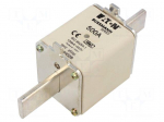 Fuse: fuse | 500A | 440VAC | gG,gL | industrial | NH2