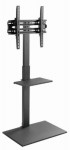 TV mount Gembird 32" - 55" TV floor stand