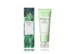 Skin1004 Madagascar Centella Tea-Trica BHA Foam Cleanser 125 ml